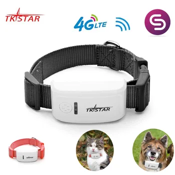 4G TKSTAR Dog GPS Tracker TK909 Водонепроницаемый IP65 Google Track GPS для кошачьего ошейника, голосовой монитор, мини GPS-локатор для собаки, БЕСПЛАТНОЕ ПРИЛОЖЕНИЕ Изображение